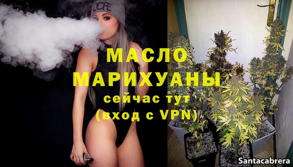 мдпв Пестово