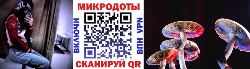 как найти наркотики  сайты даркнета телеграм  Галлюциногенные грибы мицелий  Корсаков 
