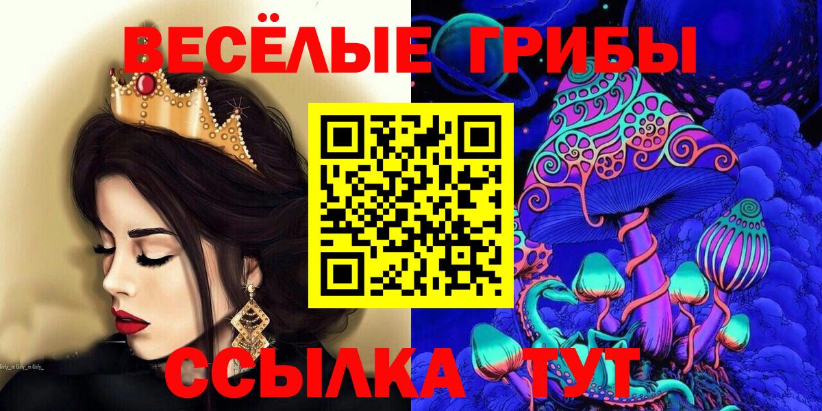 Галлюциногенные грибы GOLDEN TEACHER Корсаков
