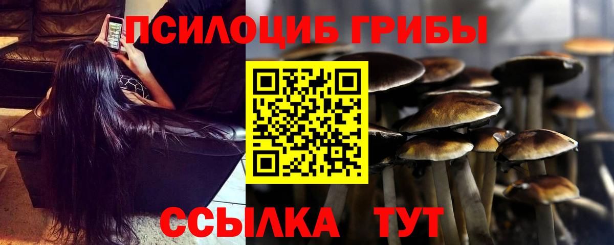 Псилоцибиновые грибы Magic Shrooms  Галлюциногенные грибы Magic Shrooms  цена наркотик  Корсаков  Вход с VPN 
